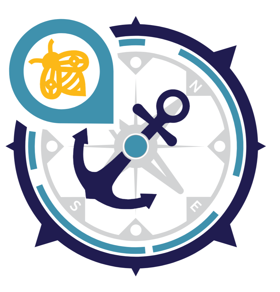 Anchor Removals logo